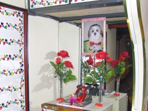 R0012100.JPG