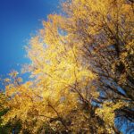 Thumbnail of related posts 069