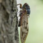 Thumbnail of related posts 097