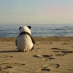 Thumbnail of related posts 078