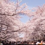 Thumbnail of related posts 173