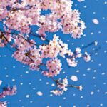 Thumbnail of related posts 022