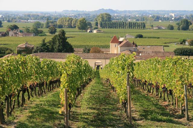 写真はイメージです。