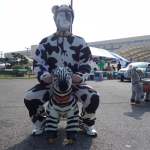 Thumbnail of related posts 133