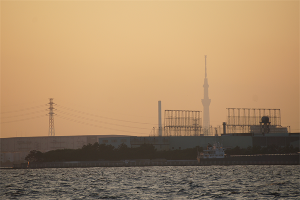 右側にはスカイツリー