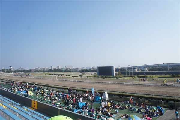 ビッグイベントに牛が参戦