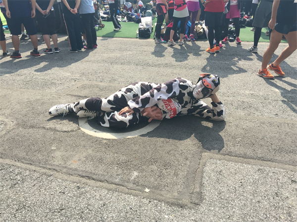 ビッグイベントに牛が参戦