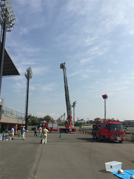 ビッグイベントに牛が参戦