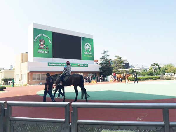 ビッグイベントに牛が参戦