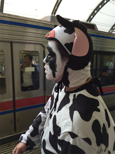 あのビッグイベントに牛が参戦