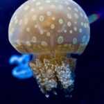 Thumbnail of related posts 073