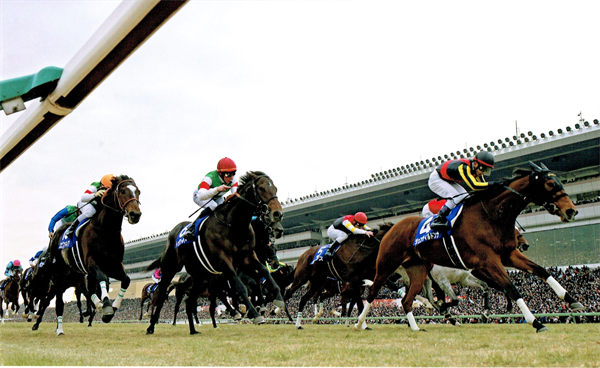 有馬記念の楽しみ方