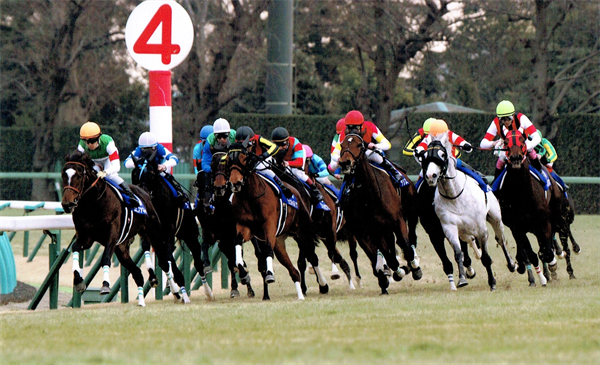 有馬記念の楽しみ方
