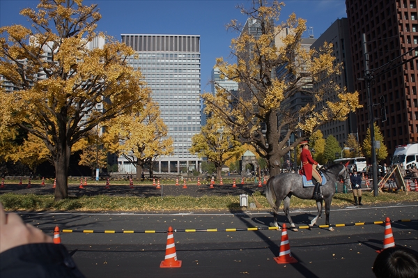 皇居「乾通り」の紅葉