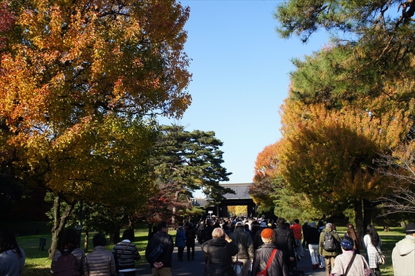 皇居「乾通り」の紅葉