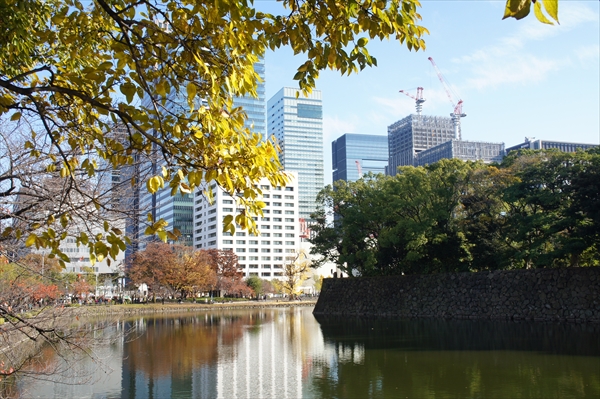 皇居「乾通り」の紅葉