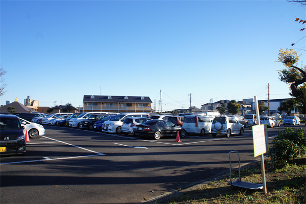 有馬記念の楽しみ方