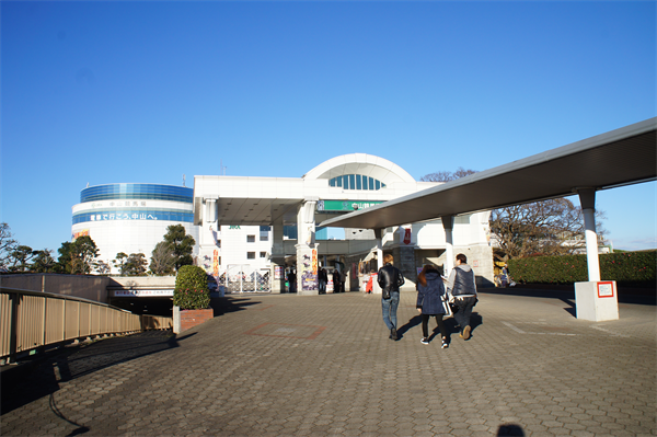 有馬記念の楽しみ方