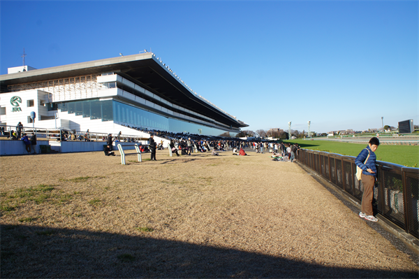 有馬記念の楽しみ方