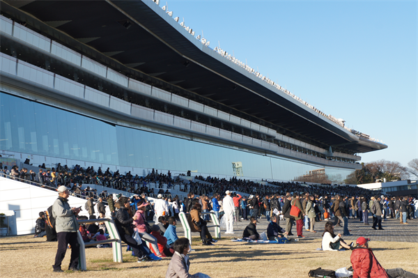 有馬記念の楽しみ方