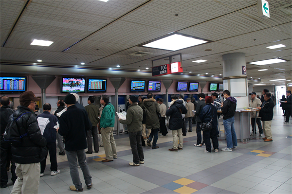 有馬記念の楽しみ方