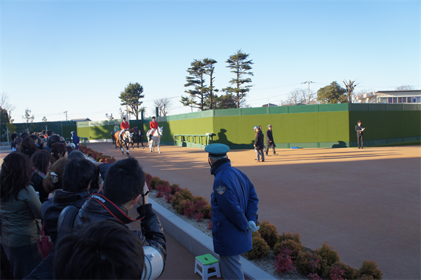 有馬記念の楽しみ方