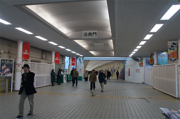 有馬記念の楽しみ方