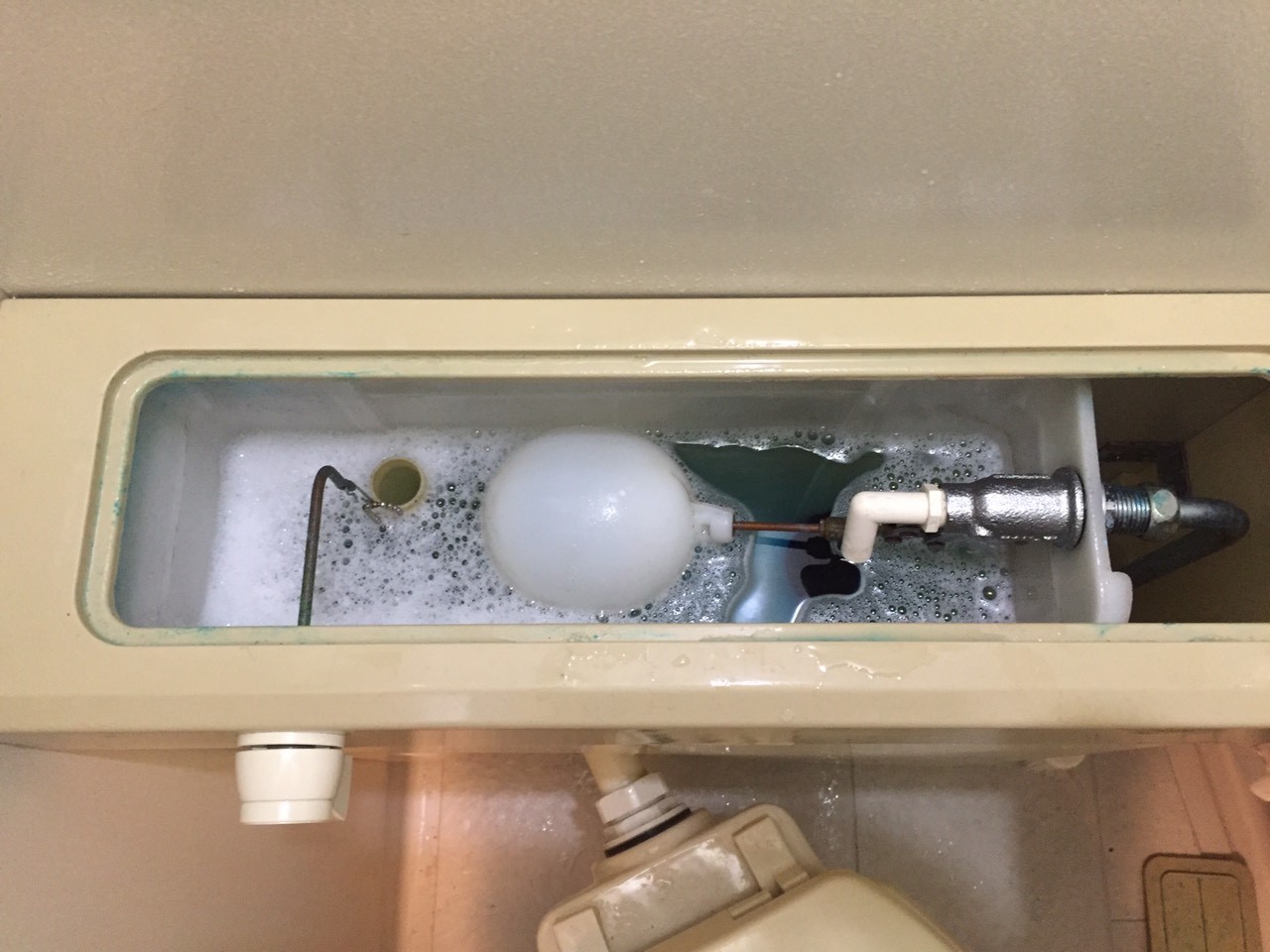 とどかない想い