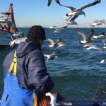 Thumbnail of related posts 043