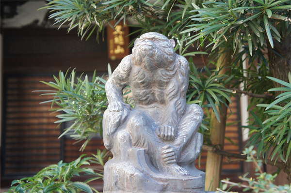 運気を上げる！？東京の初詣スポットや神社・パワースポット