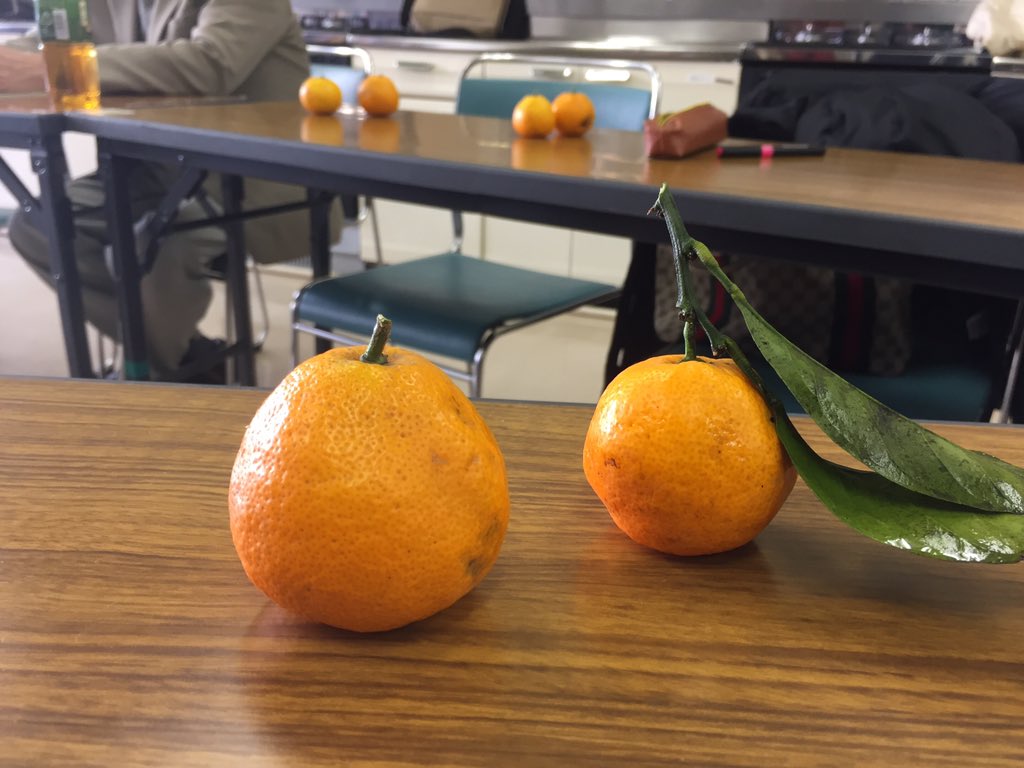 船橋の俳句の会：「あゆみ句会」