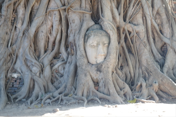 タイ旅行の楽しみ方：王道編