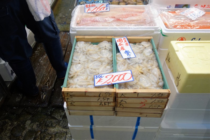 築地市場へガッツリ買い出しに行ってきた！（仕入れ）