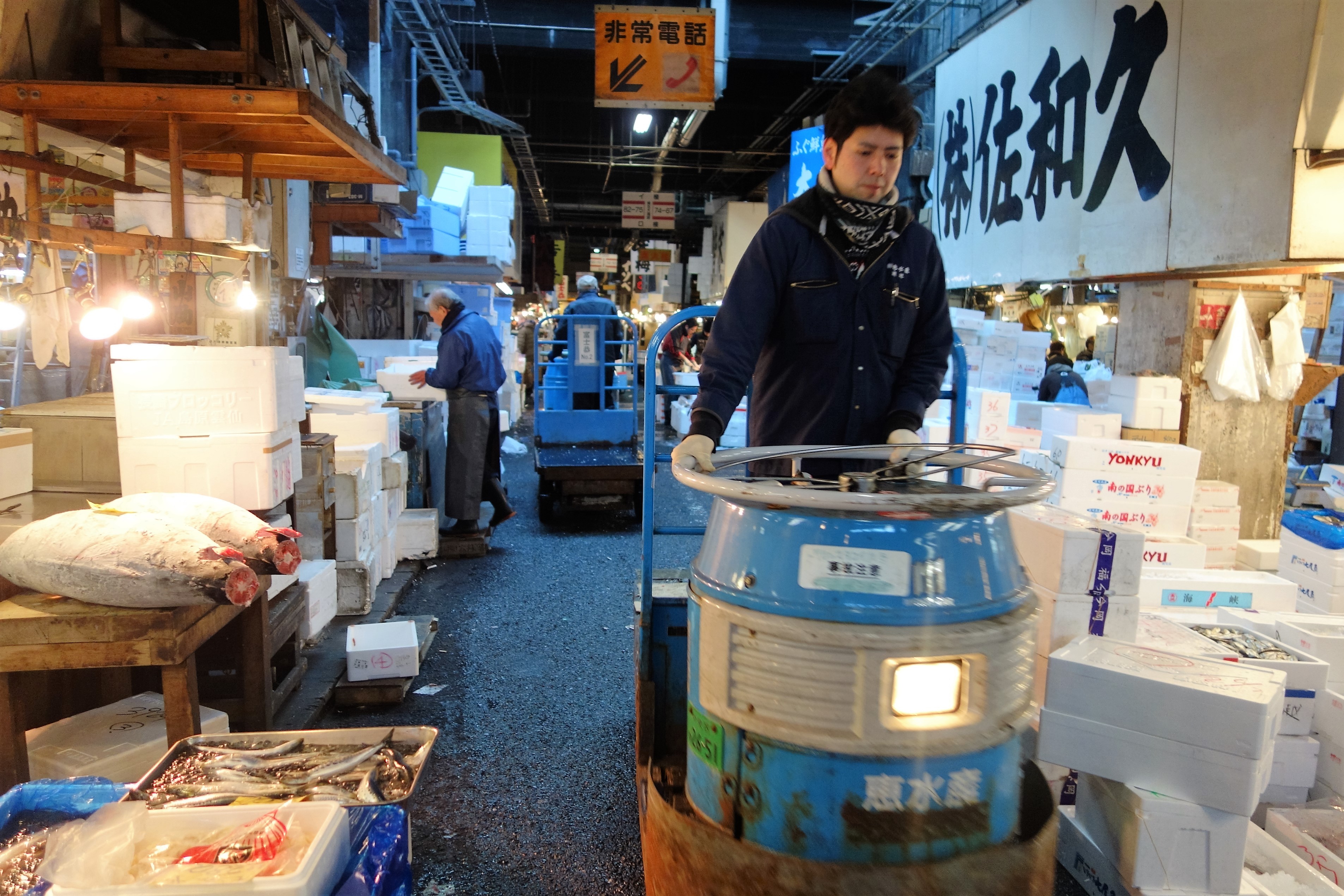 築地市場へガッツリ買い出しに行ってきた！（仕入れ）