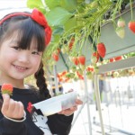 Thumbnail of post image 038