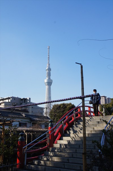 梅の開花情報、観梅スポット、東京・千葉・埼玉・神奈川