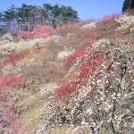 Thumbnail of related posts 065