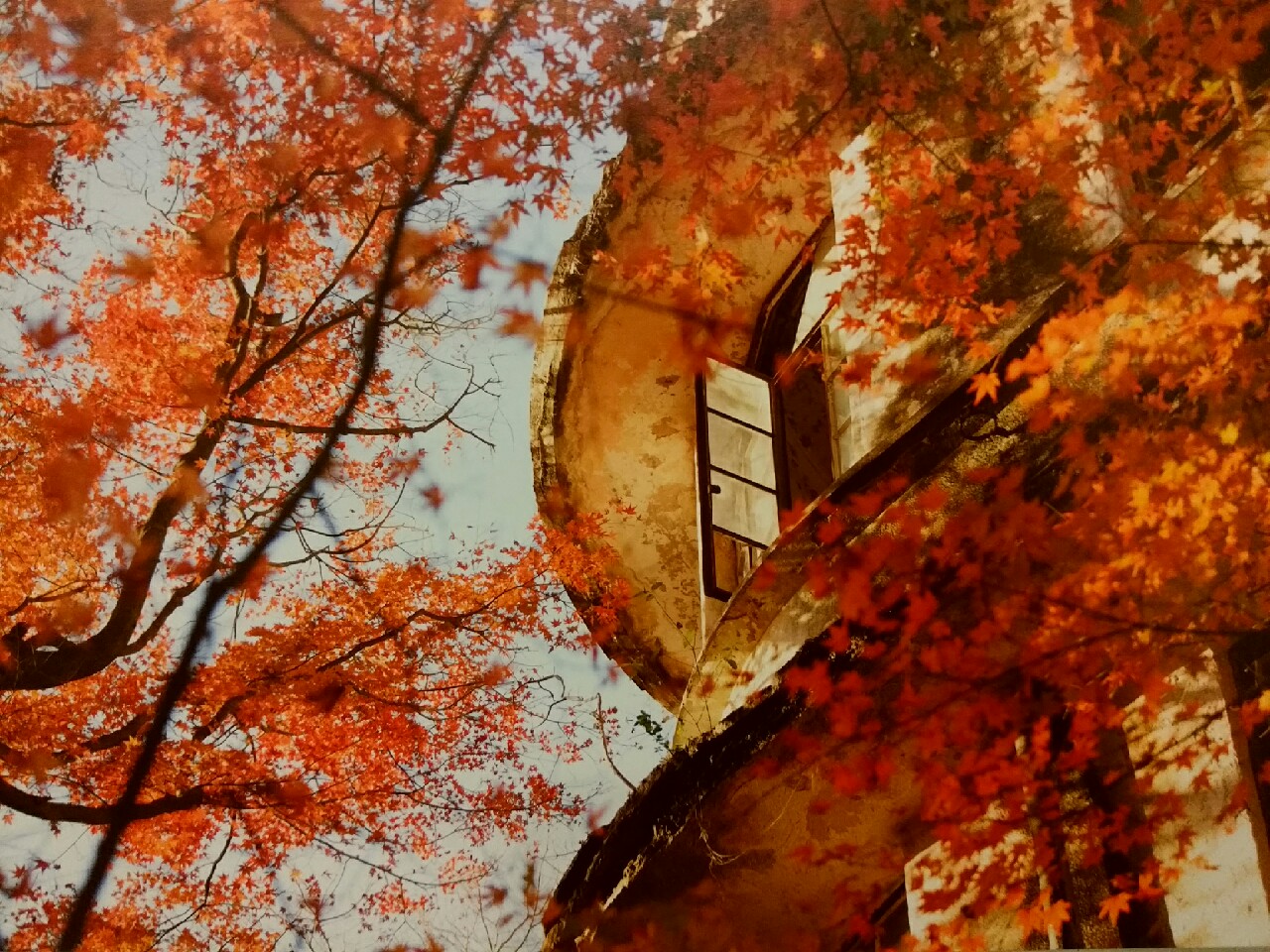 工場夜景・写真展