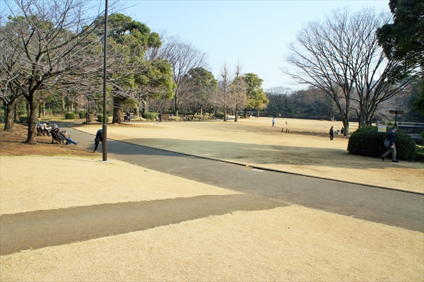 東京・横浜のデートスポット7選