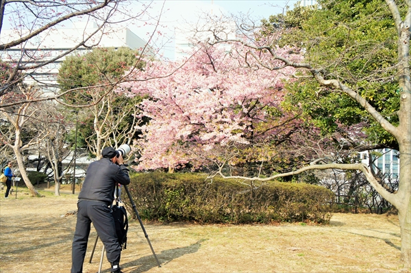 東京・横浜のデートスポット7選