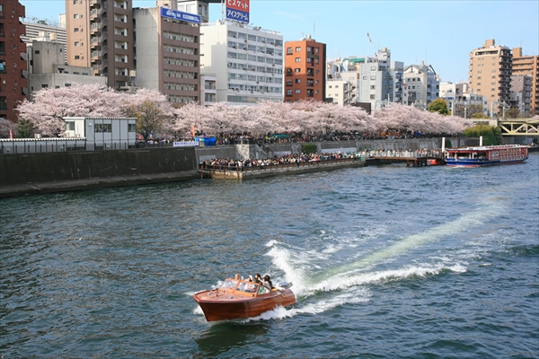 東京の桜の花見：上野 VS 浅草、七番勝負
