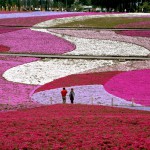 Thumbnail of post image 151