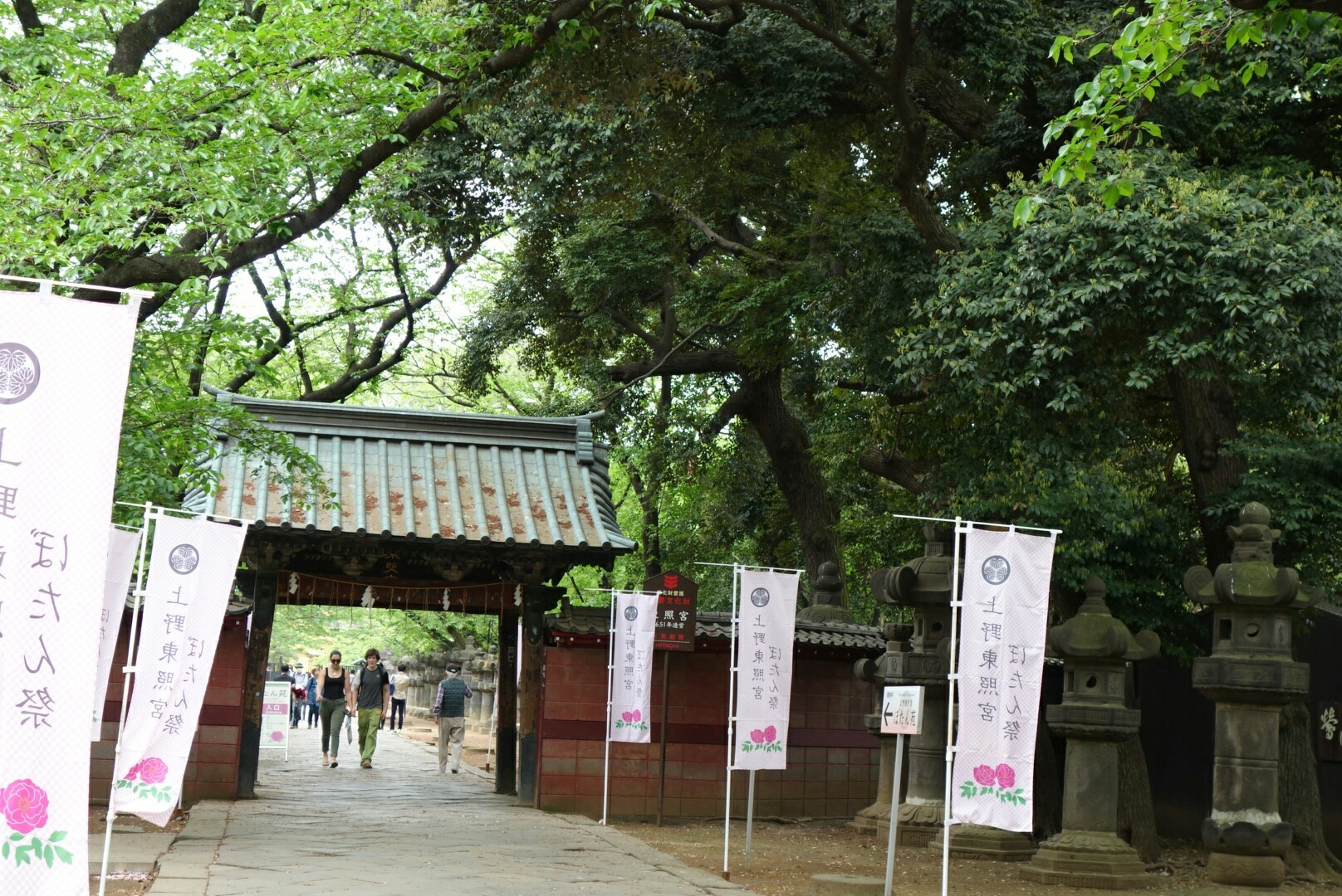 上野東照宮「牡丹園」