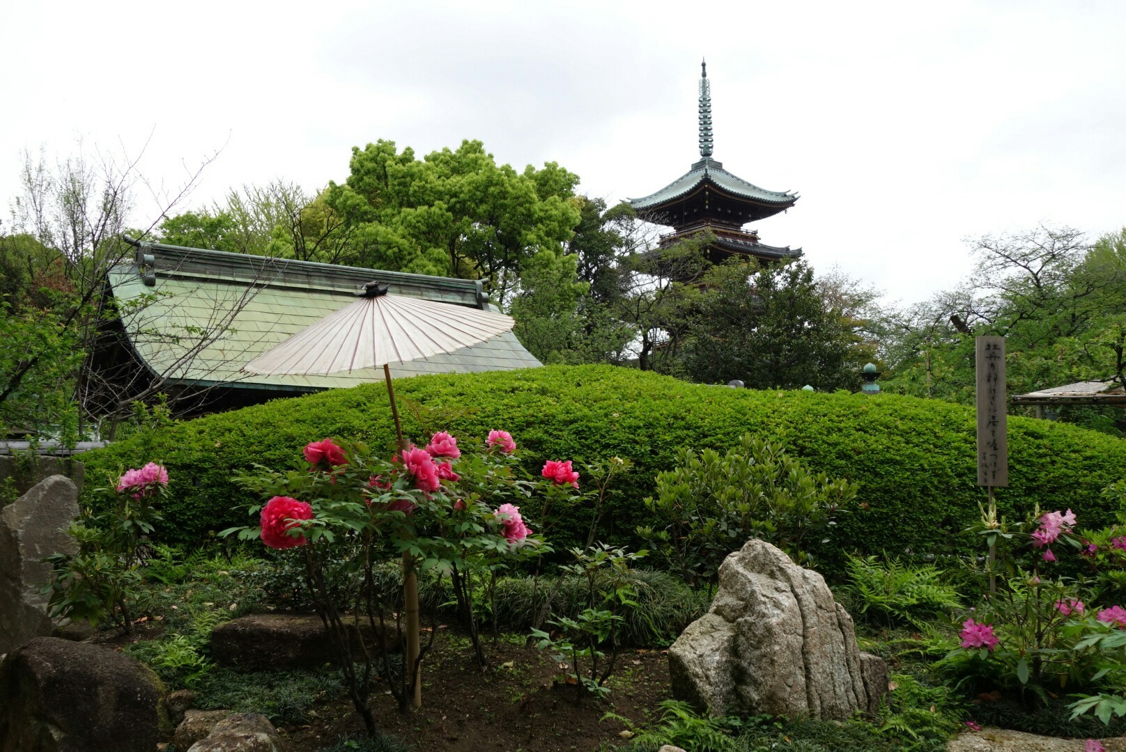 上野東照宮「牡丹園」