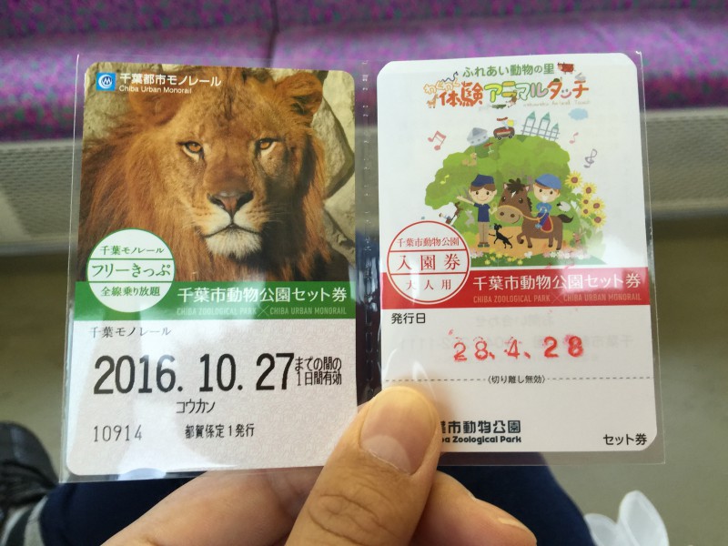 千葉動物公園のライオン、トウヤとアレン