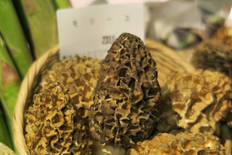 フランスのグルメ・ファッション・ライフスタイルなどを紹介