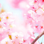 Thumbnail of related posts 119