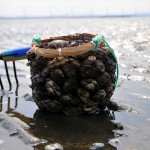 Thumbnail of related posts 146