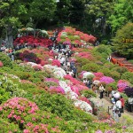 Thumbnail of post image 101