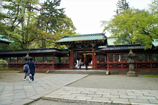 「文京つつじまつり」根津神社つつじ苑